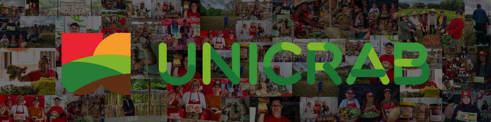Colagem de fotografias da produção e das feiras das cooperativas da reforma agrária