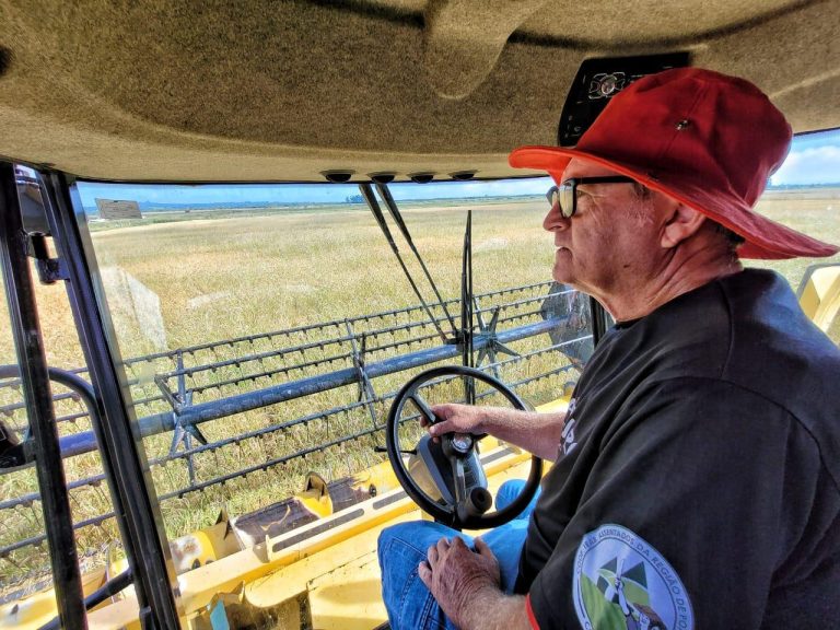 Cooperativa que comercializa o arroz orgânico do MST busca investimento de R$ 2 milhões