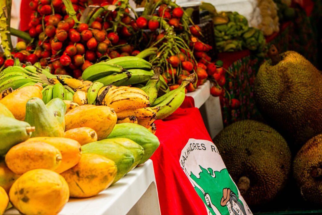 Feira de frutas e hortaliças da reforma agrária no Pará