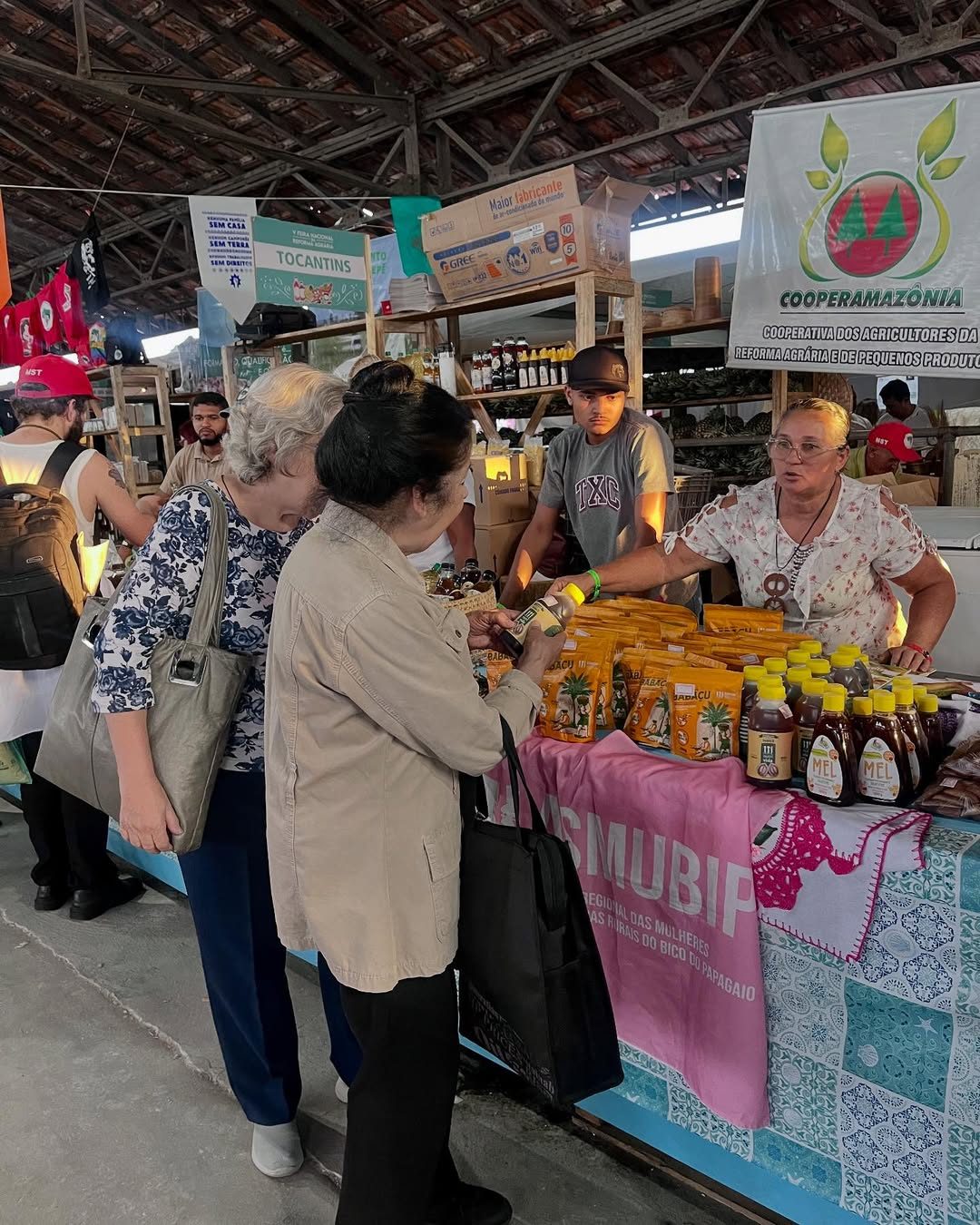 Produção da reforma agrária — Tocantins (Amazônica)