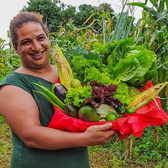 Produção da reforma agrária — Mato Grosso do Sul (Centro-Oeste)
