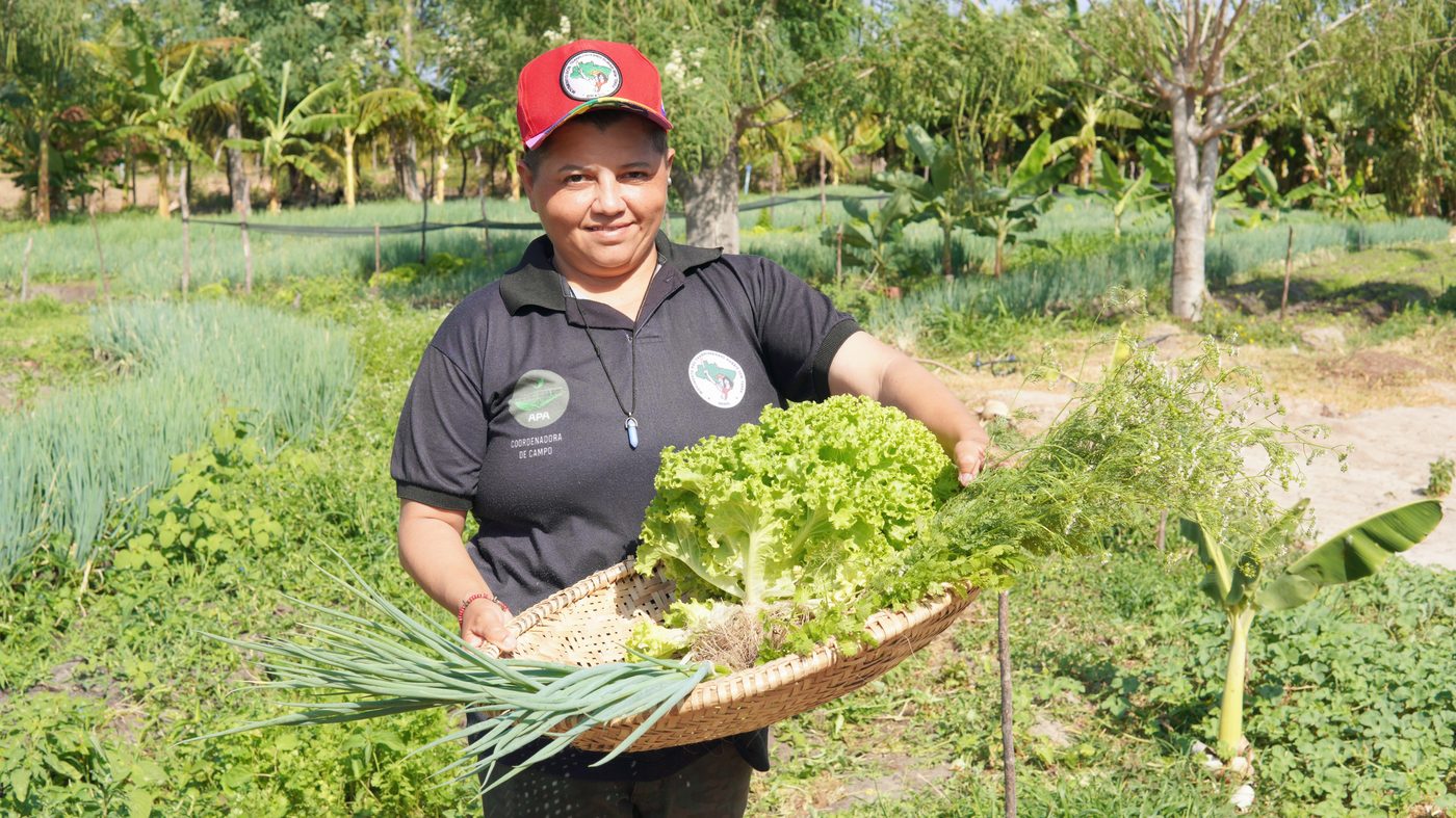 Produção da reforma agrária — Ceará (Nordeste)