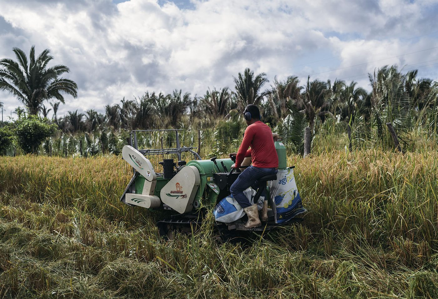 Produção da reforma agrária — Maranhão (Nordeste)