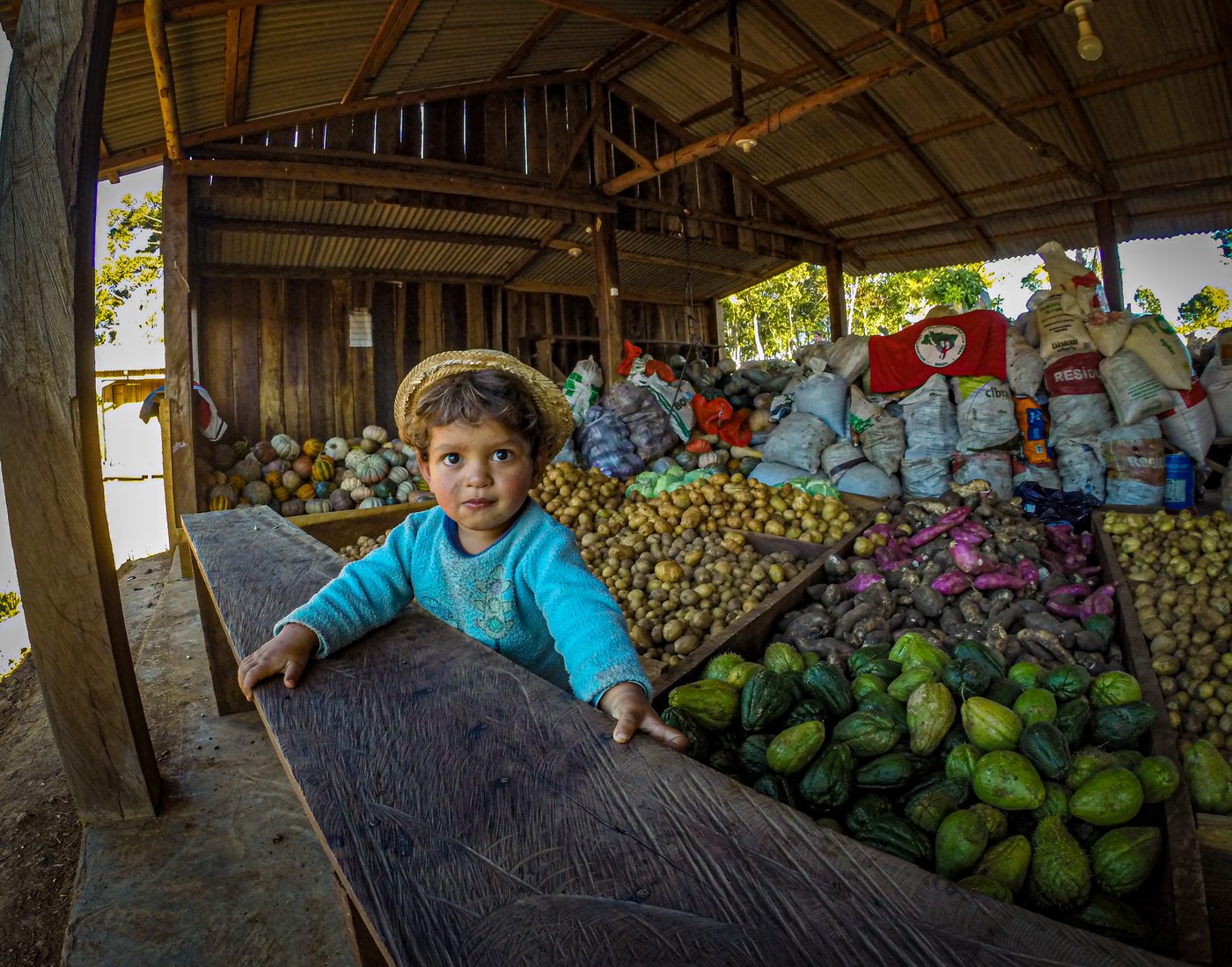 Produção da reforma agrária — Paraná (Sul)