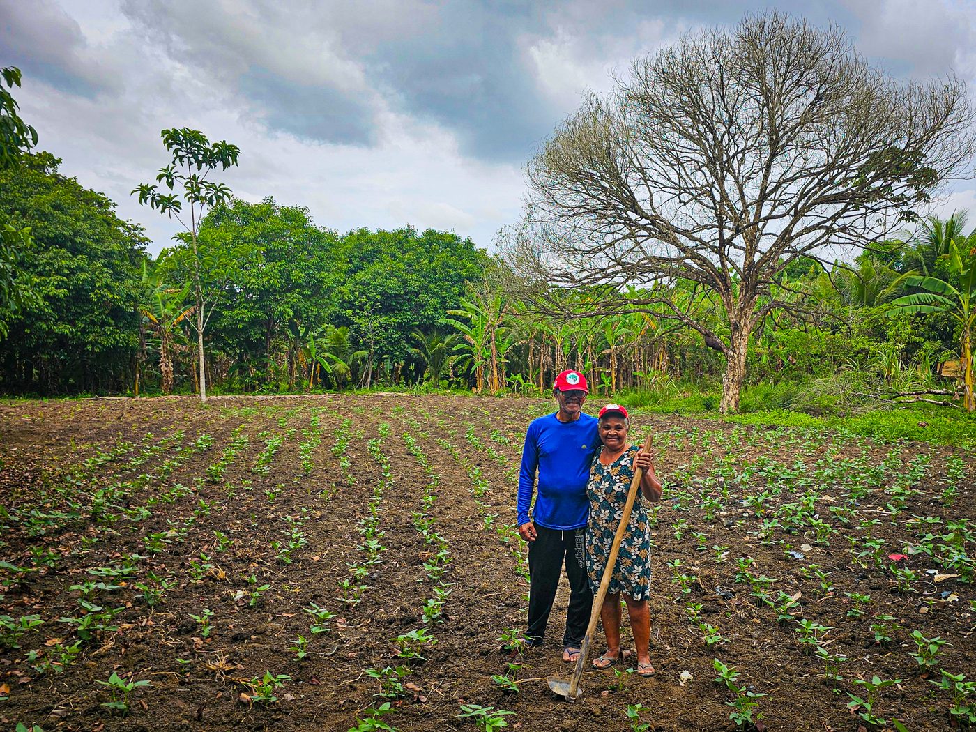 Agricultora em área de produção agroecológica em Alagoas